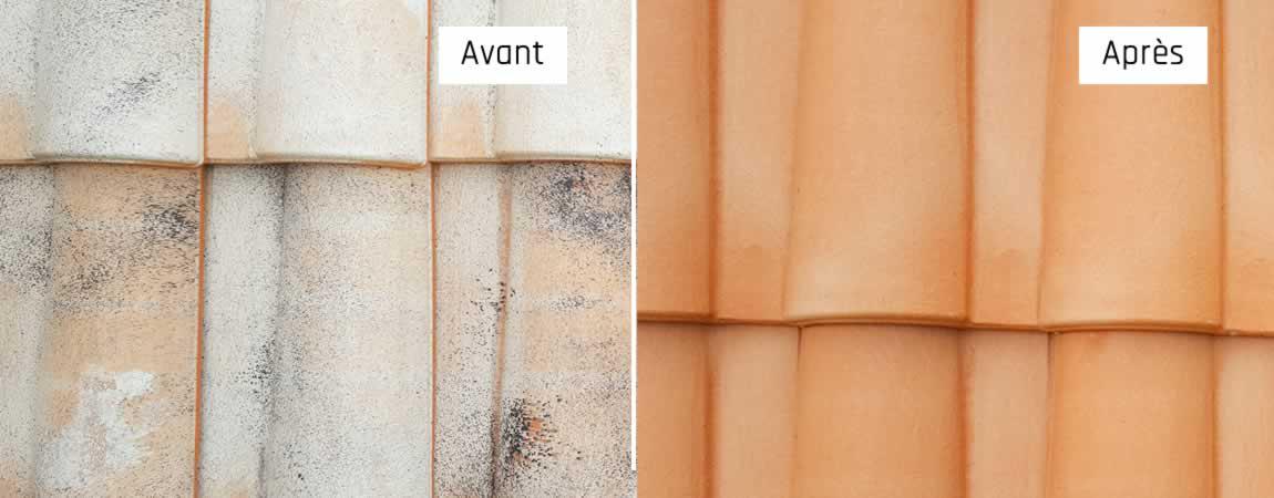 Lavage, Nettoyage toiture, demoussage