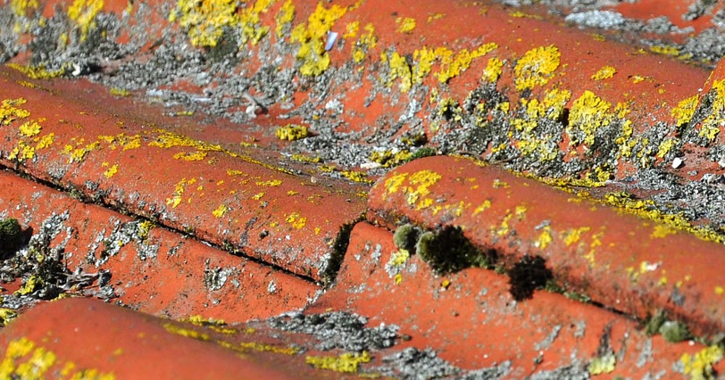 Demoussage de toiture dans le Vaucluse